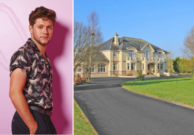 Pics: Niall Horan’s lavish Mullingar mansion is selling for €775K