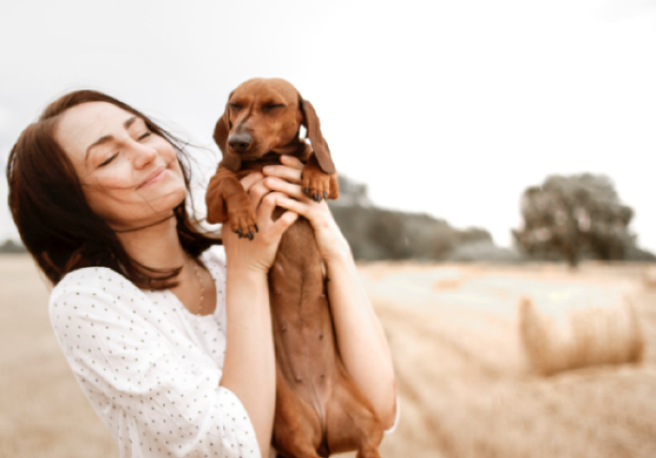 Owning a dog is good for your cardiovascular health, study finds