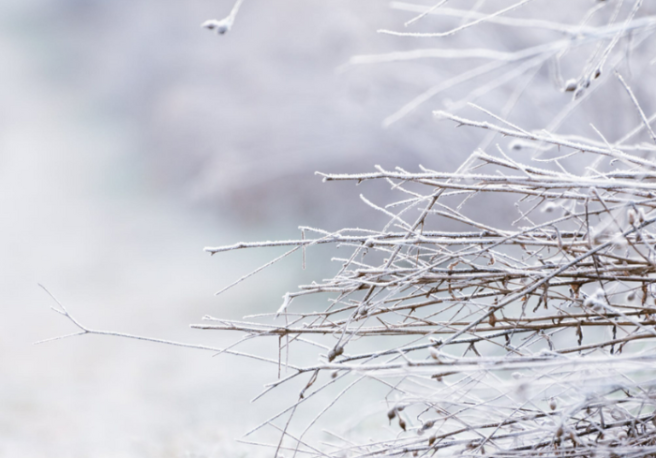 Ireland has experienced its coldest day since 2010