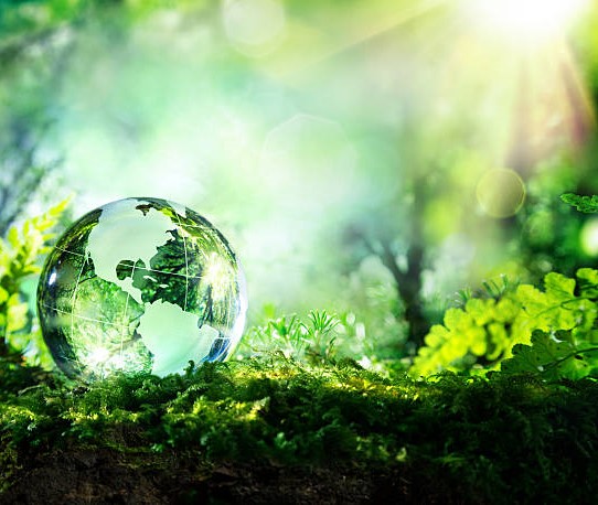 Top 5 steps to live a more environmentally conscious life