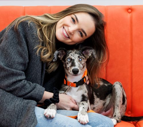 DSPCA partners with Allianz in drive to rehome over 370 animals