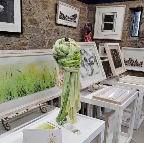 New gallery opened by renowned Roscommon artist Rita Oates