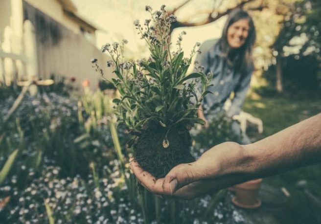 Our top beginner’s tips and tricks on how to start your garden