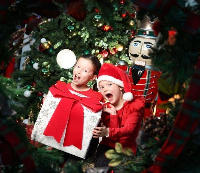 The original elf-made man returns to Liffey Valley Shopping Centre this weekend!