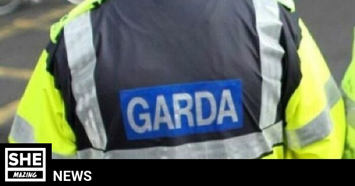 Gardaí launch missing persons appeal to help find 13 year old boy ...