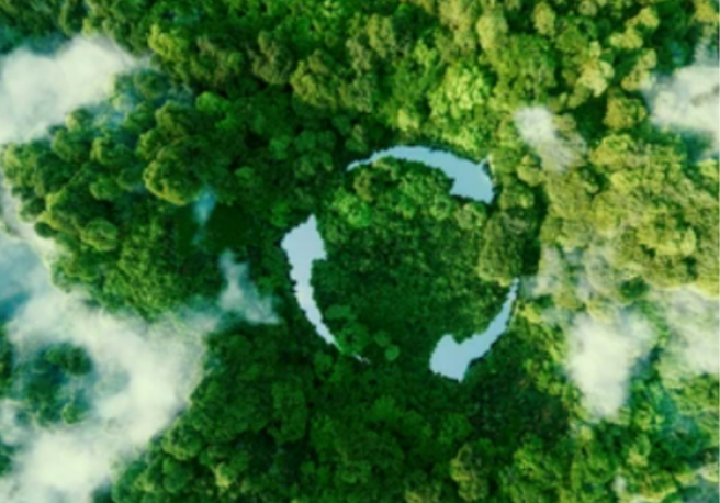 How to live a sustainable lifestyle with 5 easy tips